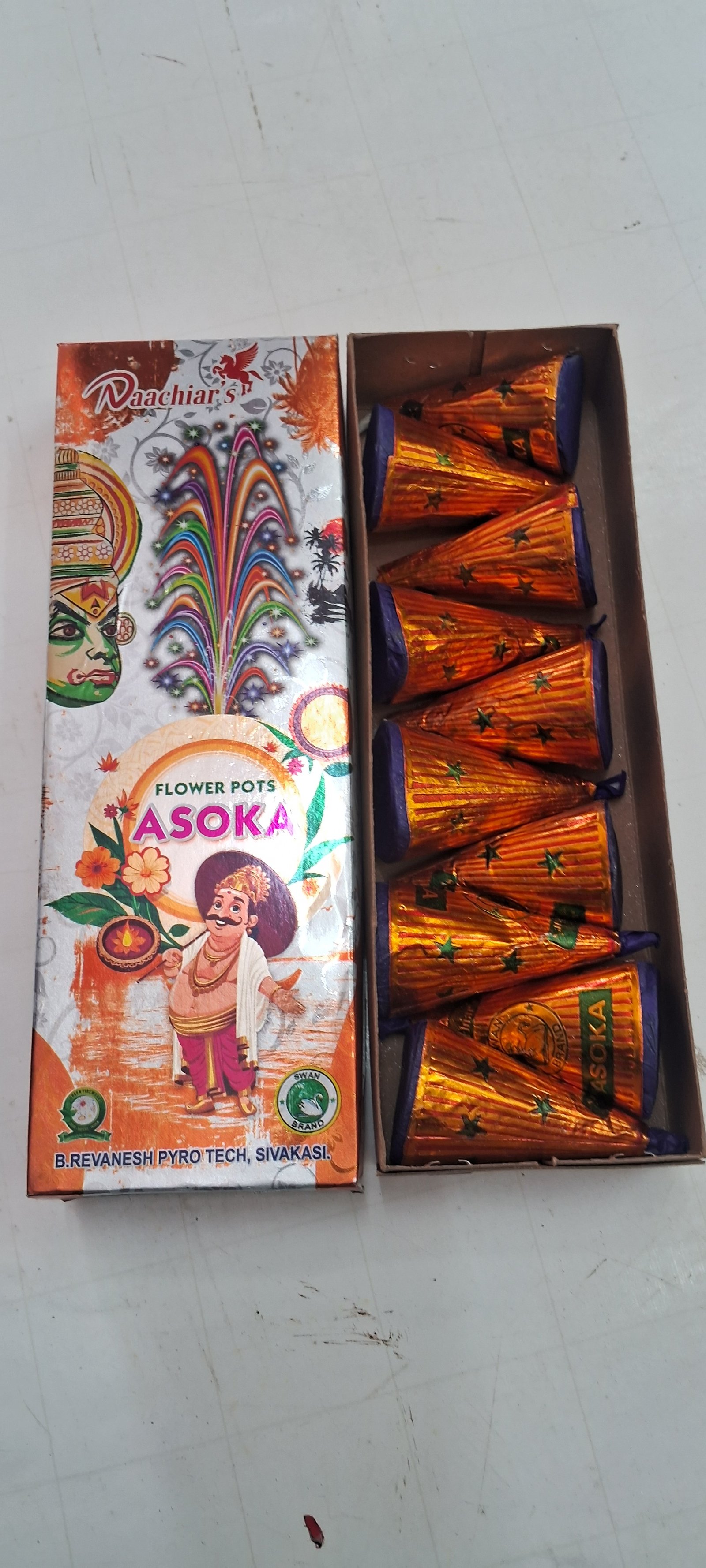 Flower Pots Asoka